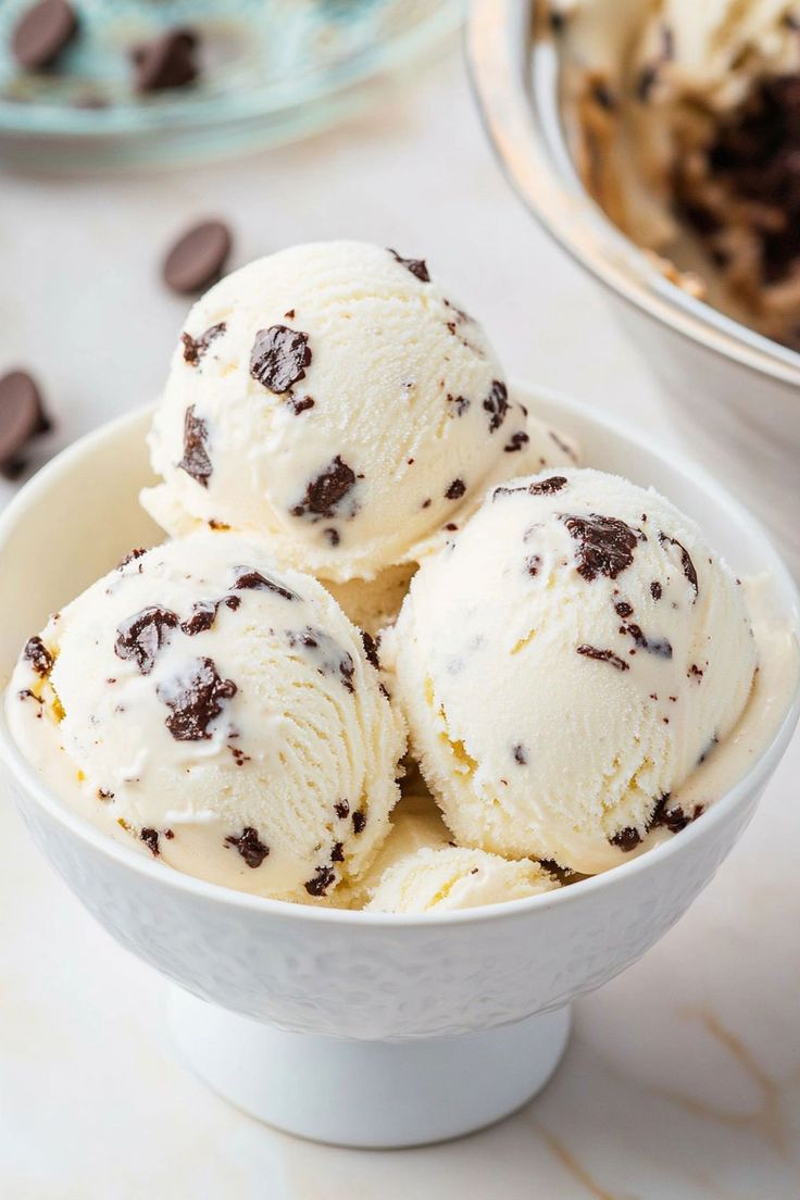 Chocolate Chip Ice Cream